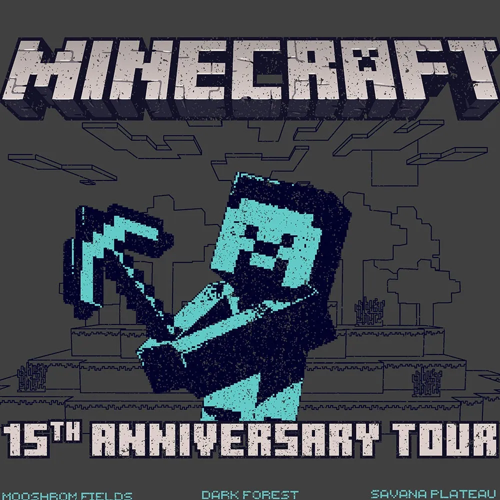 Minecraft 15th Anniversary Vintage Tour Poster