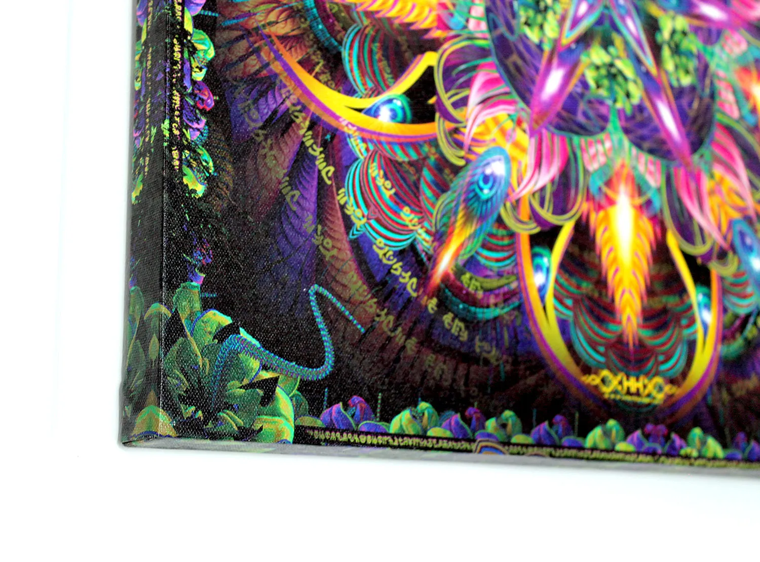 "Sylvan Perception" Stretched Canvas Print